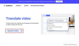 视频翻译字幕软件,智能翻译软件的革新之旅