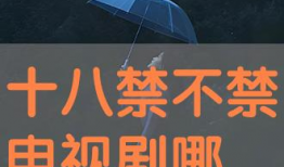 十八禁止视频,揭秘网络空间行为红线